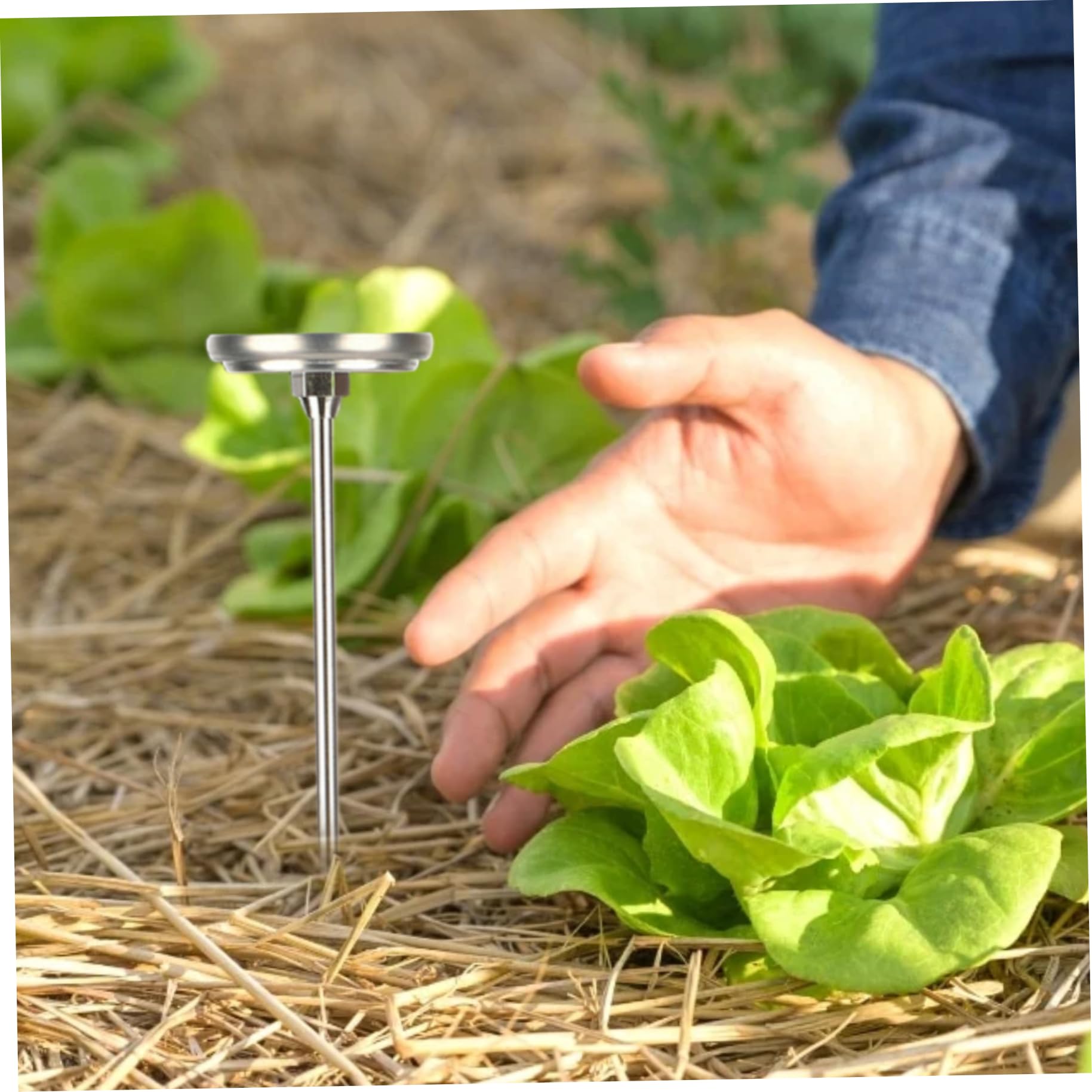 Termómetro de compost, termómetro de tierra de acero inoxidable de 2 pulgadas portátil de 2 pulgadas con vástago de 20 para tierra, compost, jardín.