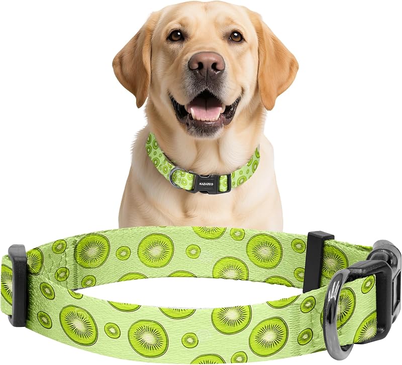 Coleira para Cães em Nylon Macio e Ajustável Kazazoo Kiwi Fruit (L)