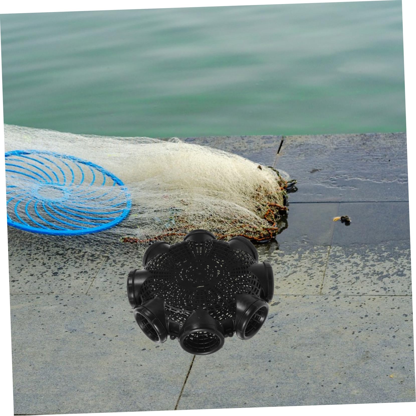 Angelköderkorb aus Kunststoff Fisch und Garnelenkorb mit Hohlstruktur Schwarz für Angeln