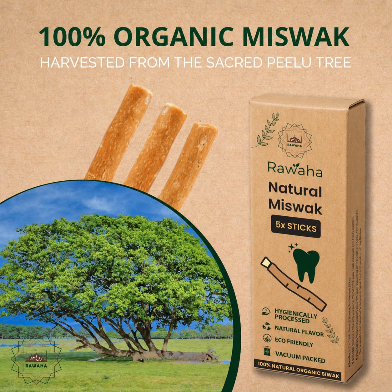5 Pcs Miswak Sticks - Vacuum Sealed Natural Chewing Miswak Sticks for Teeth - Natural Flavored Toothbrush for Teeth Whitening, Oral Health, and Fresh Breath || Pack of 5 image 3
