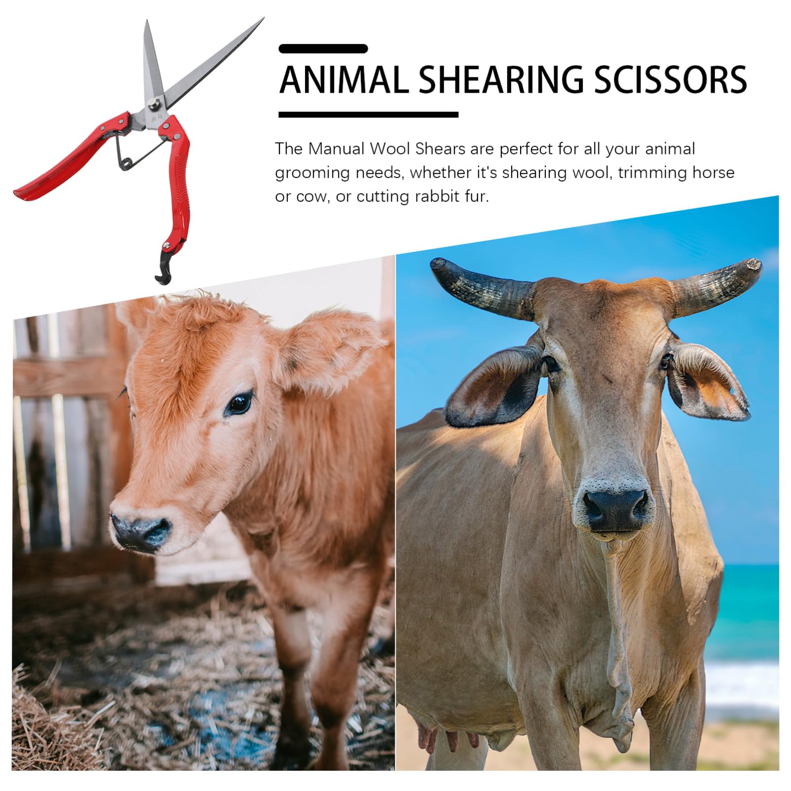 BESPORTBLE 4piezas Tijeras De Ergonómicas Para Ovejas y Ganado Cortadora Manual De Lana De Peluquería Animal Para