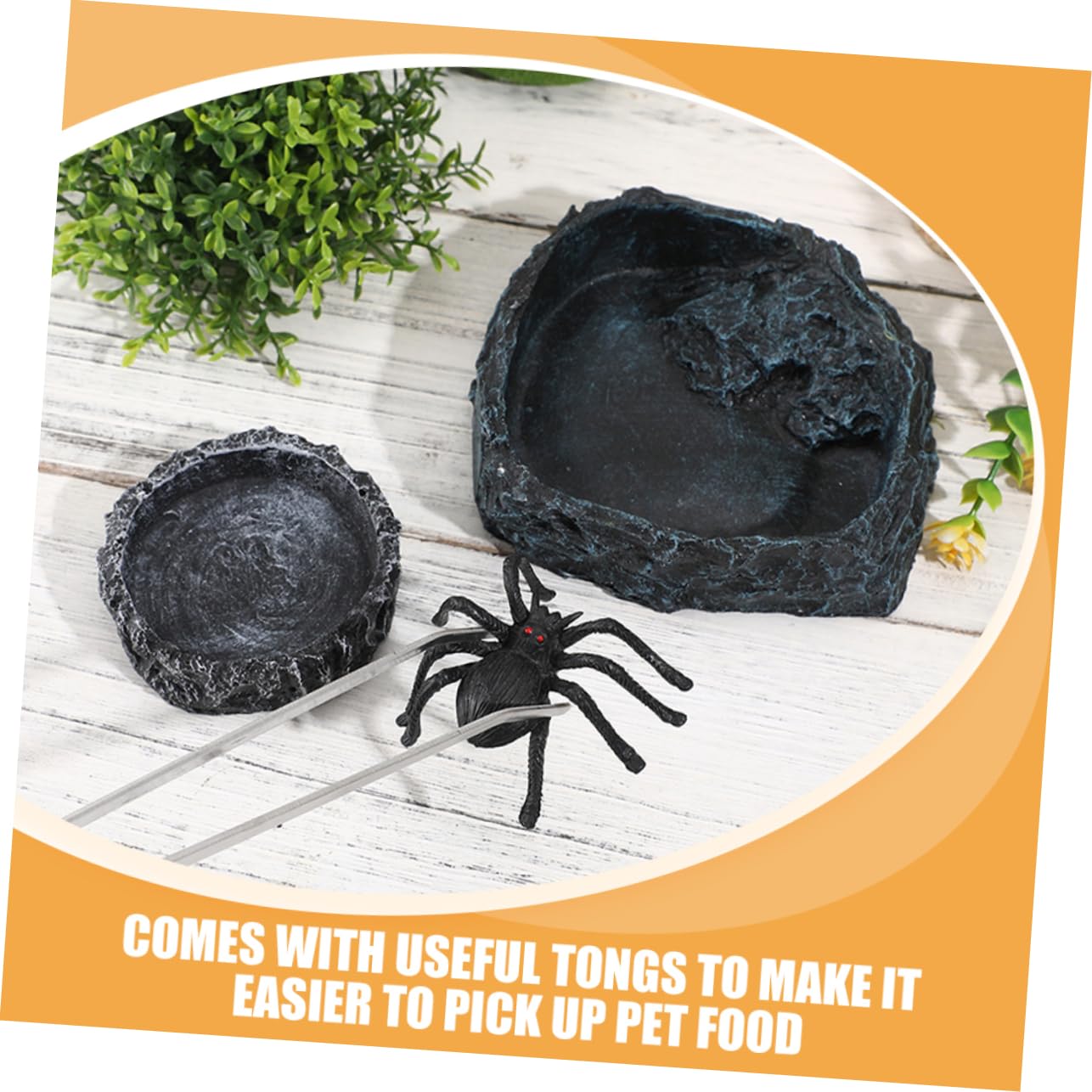 1set Ciotole per Reptili Ciotola per Tartarughe Ciotola per Cibo Rettili con Pinzette Accessori per Terrario e Alimentazione di Lucertole e