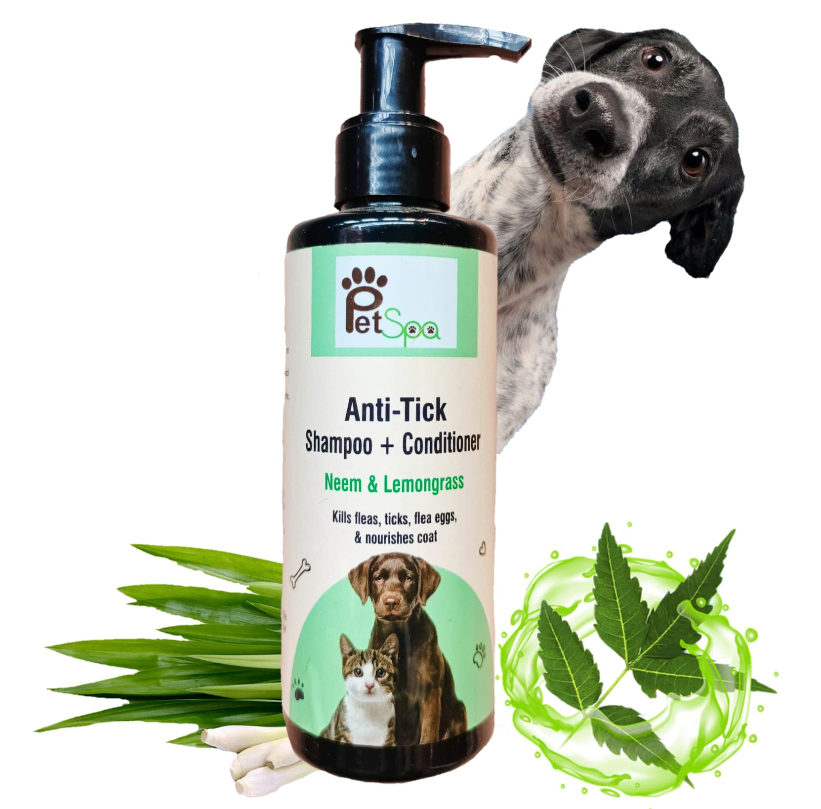 PET SPA Pet Dog Cat Shampoo Plus Conditioner Ticks and Fleas Repellant Neem Lemongrass | 200ml | for Doberman Labrador Shihtzu German Shepered Gloden Retriever FDA Approved, Colorless (B0BYJBSX53) Amazon Price History, Amazon Price Tracker