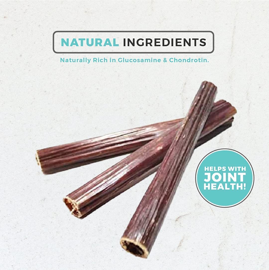 Pawkaboo® Natural Dog Chews 100% Pure Beef Gullet Sticks 6-7 inches Long 600g (40-50 sticks) - Image 4