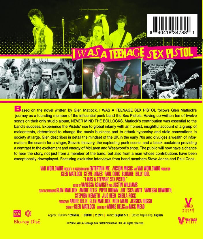 I Was a Teenage Sex Pistol image 2