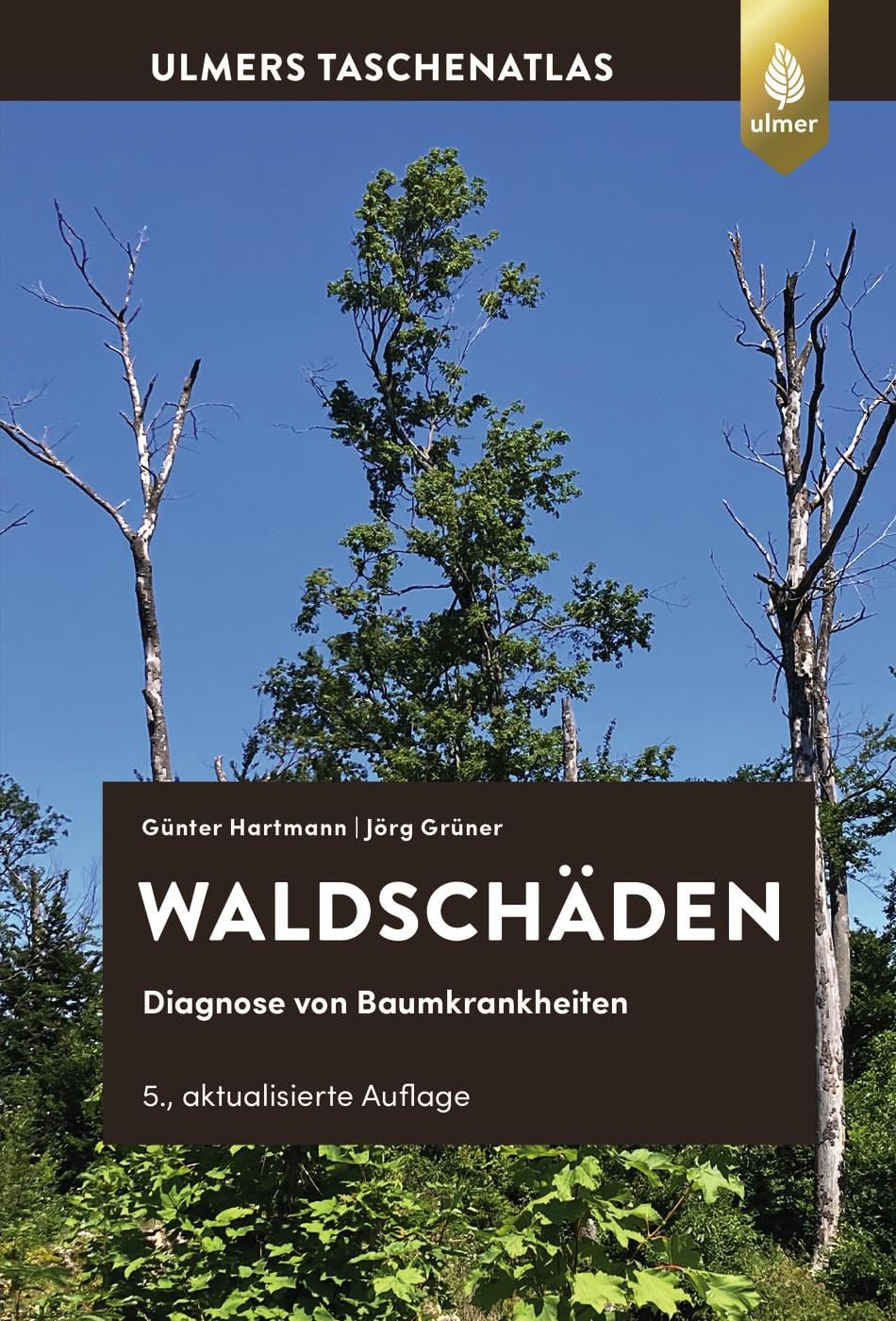 Waldschäden: Diagnose von Baumkrankheiten