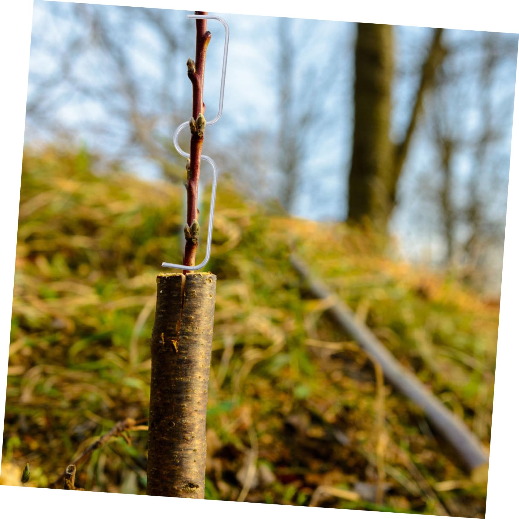 POPETPOP 21pièces Crochet De Pliage De Branches Métal Support De Branches Arbres Fruitiers Outil De Jardinage Réutilisable