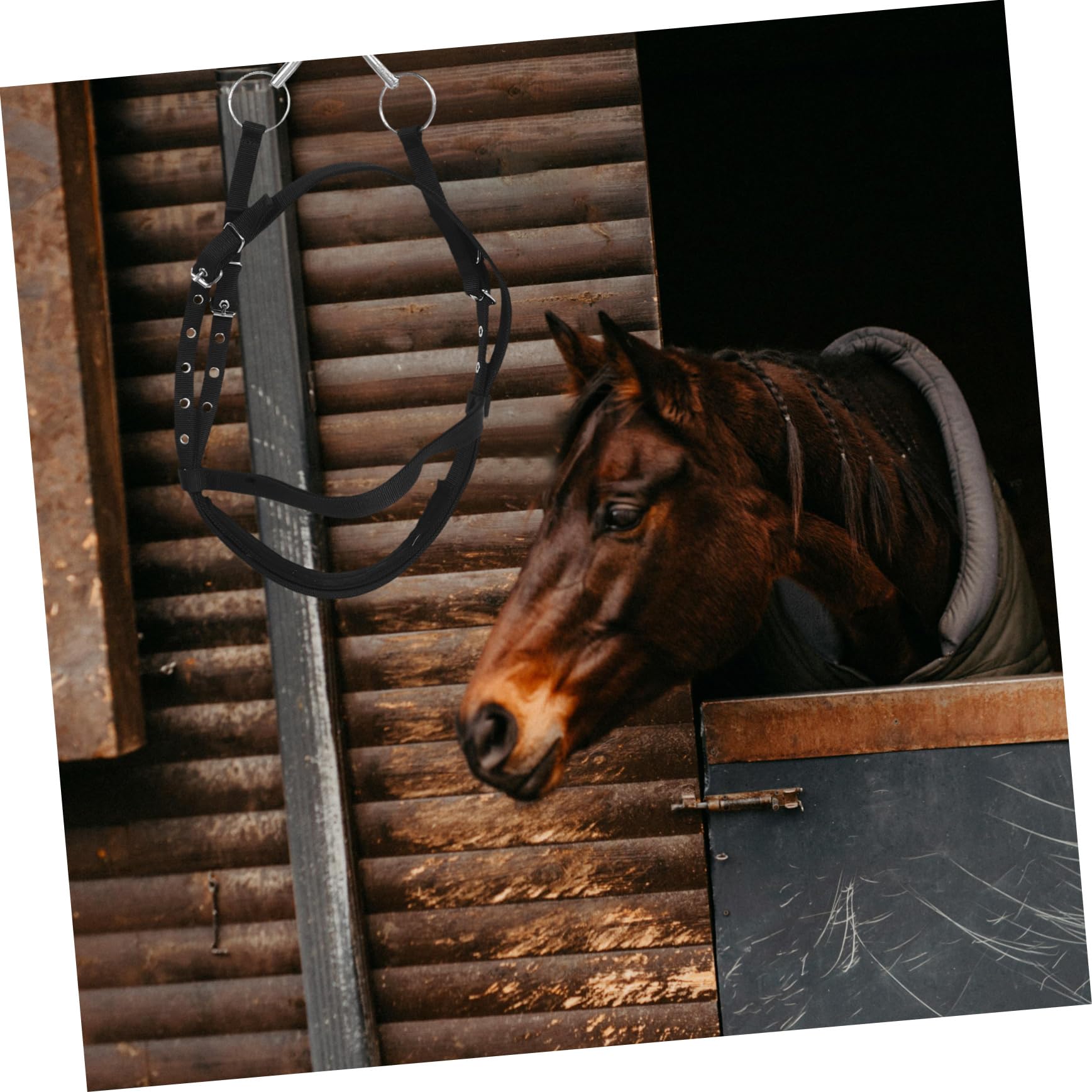 Didiseaon Redini Equestri Cavezza di Corda Cavezza da Cavallo Forniture per Stalle per Cavezza in Corda per Bovini Cavallo alla Capezza Cavezze di Corda Black Nylon
