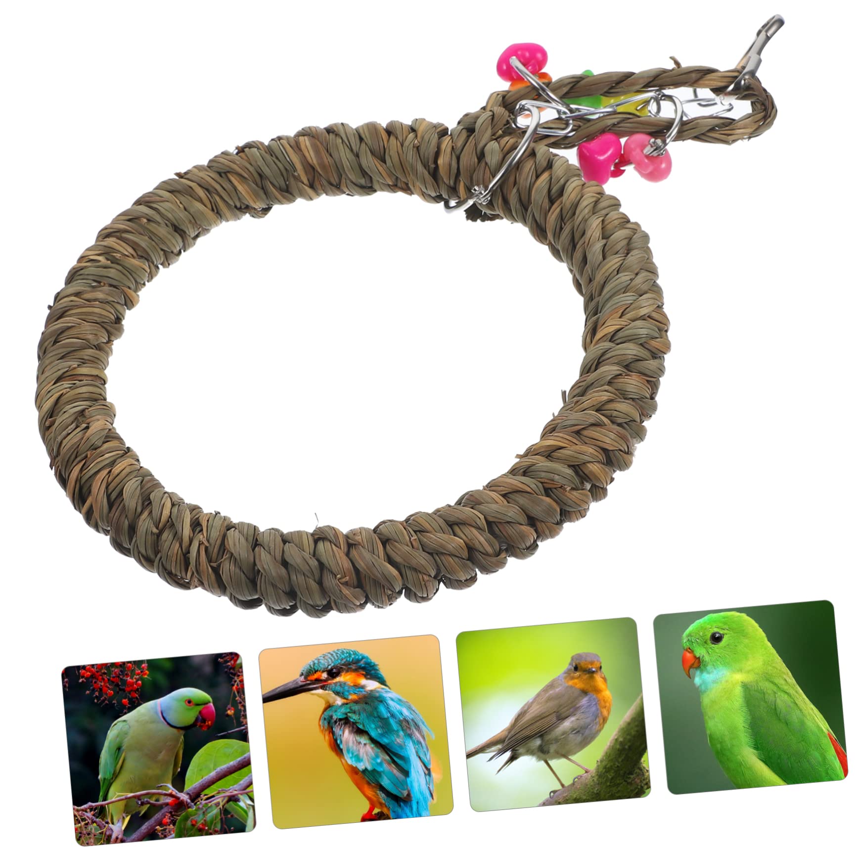 minkissy 5 Pezzi Supporto Per Trespolo Per Pappagalli Altalena Per Uccelli Giocattolo Per Calopsitte Set Da Gioco Decorativo Per Gabbia Per Uccelli