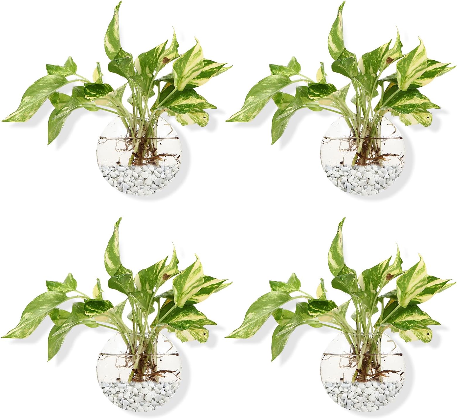 FashionstormGlass Wall Planters Oblate Hanging Propagation Station 4 Pack of Glass Hanging Planter Terrariums Indoor Wall Flower Vase Containers Wall Pots for Plants Indoor Decor