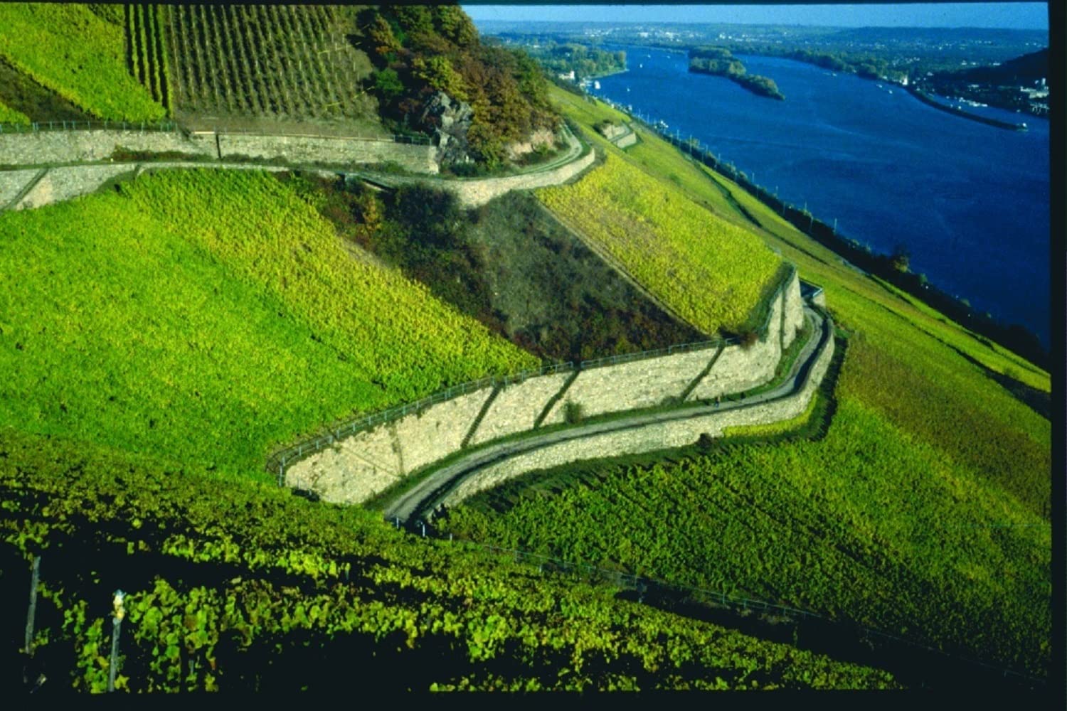 Weingut Georg Breuer Rüdesheim Estate Riesling trocken Qualitätswein Rheingau (1 x 0.75 l) (Packung mit 3)
