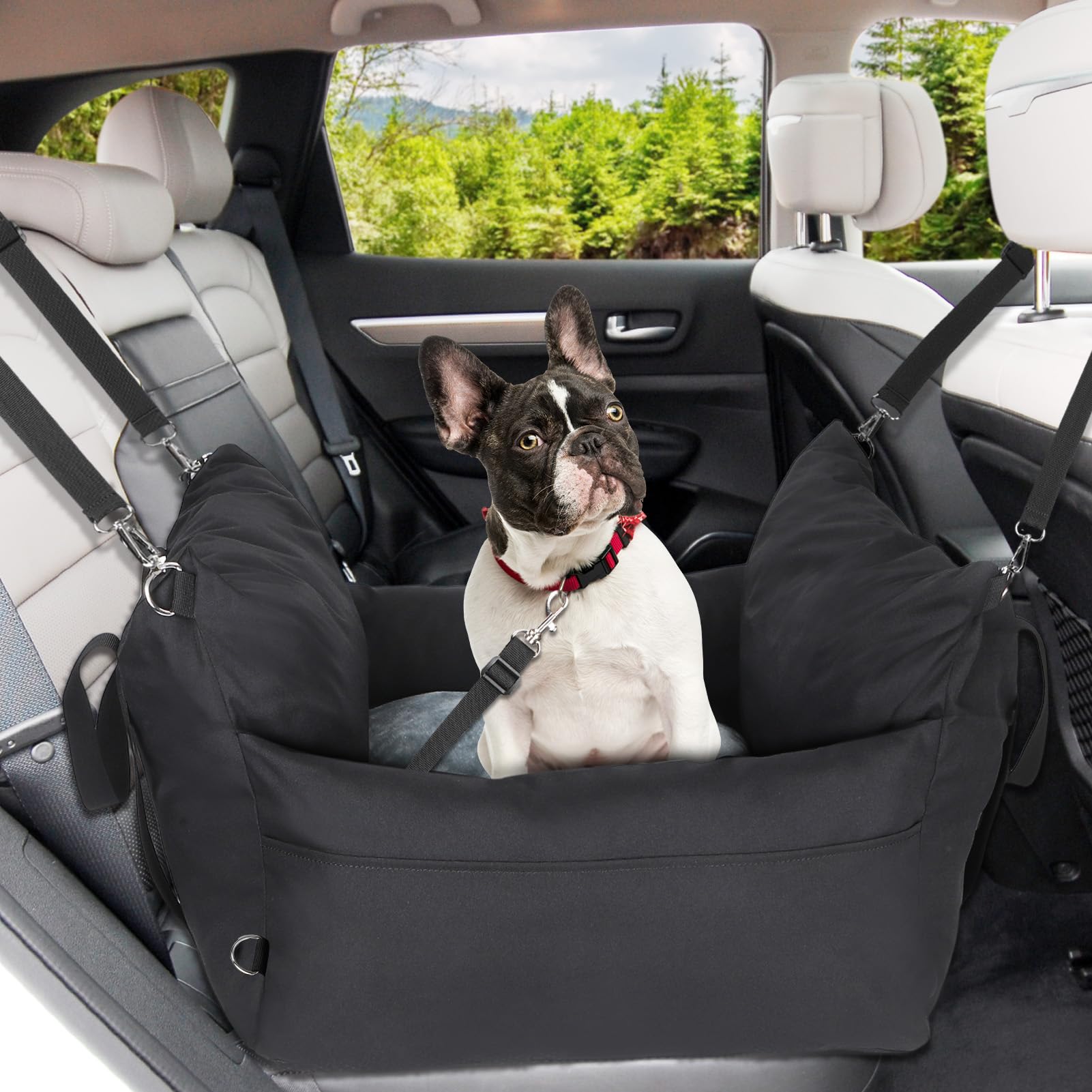 Avmvnvc Asiento Perro Coche Pequeño, Cama Perro Coche Portátil 2-in-1, Asientos Elevadores de Coche para Perros con Cojín Desmontable y Lavable, Correa de Seguridad y Bolsillos Laterales, Negro