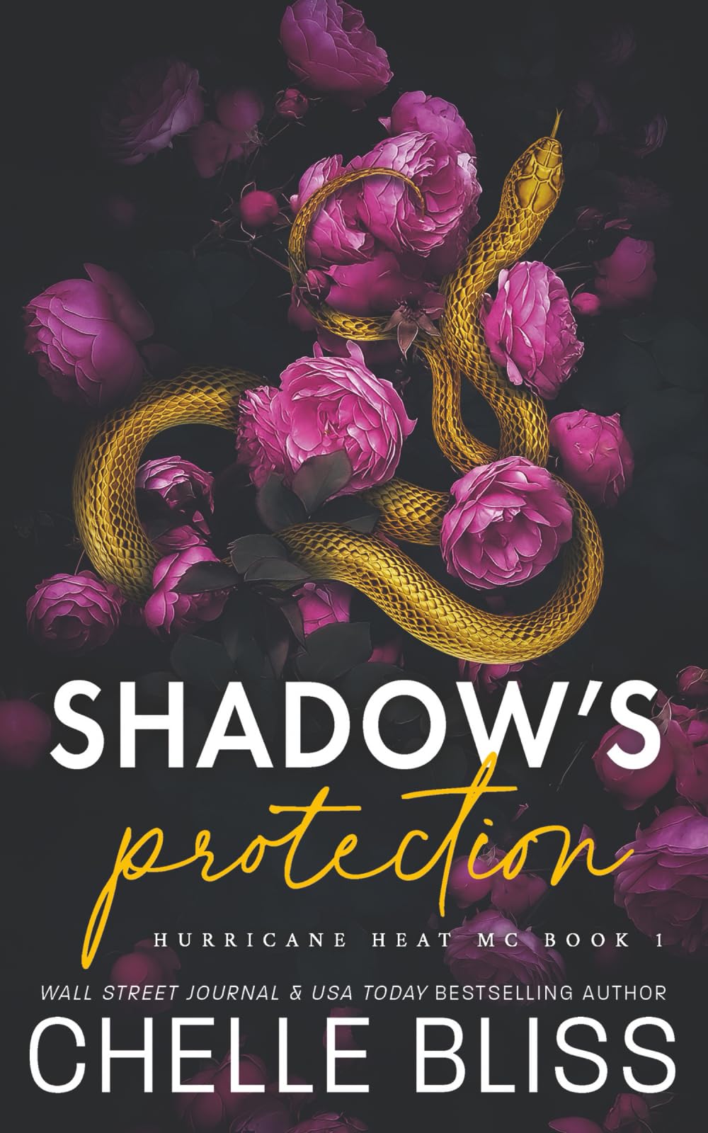 Shadow's Protection: Discreet Edition: 1 (Hurricane Heat MC)