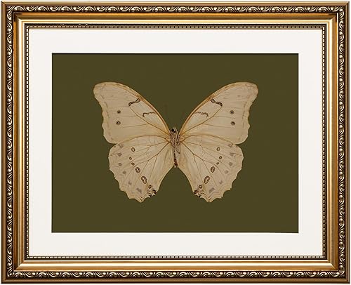 Miniatura 38 de ARPEOTCY Arte de Pared Vintage con Marco Dorado, Paisaje Retro de Jardines y Cielo, 20x25 cm Pequeños Cuadros en Lienzo con Marco Antiguo, Pinturas