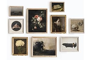 Dark Academia Room Decor Vintage