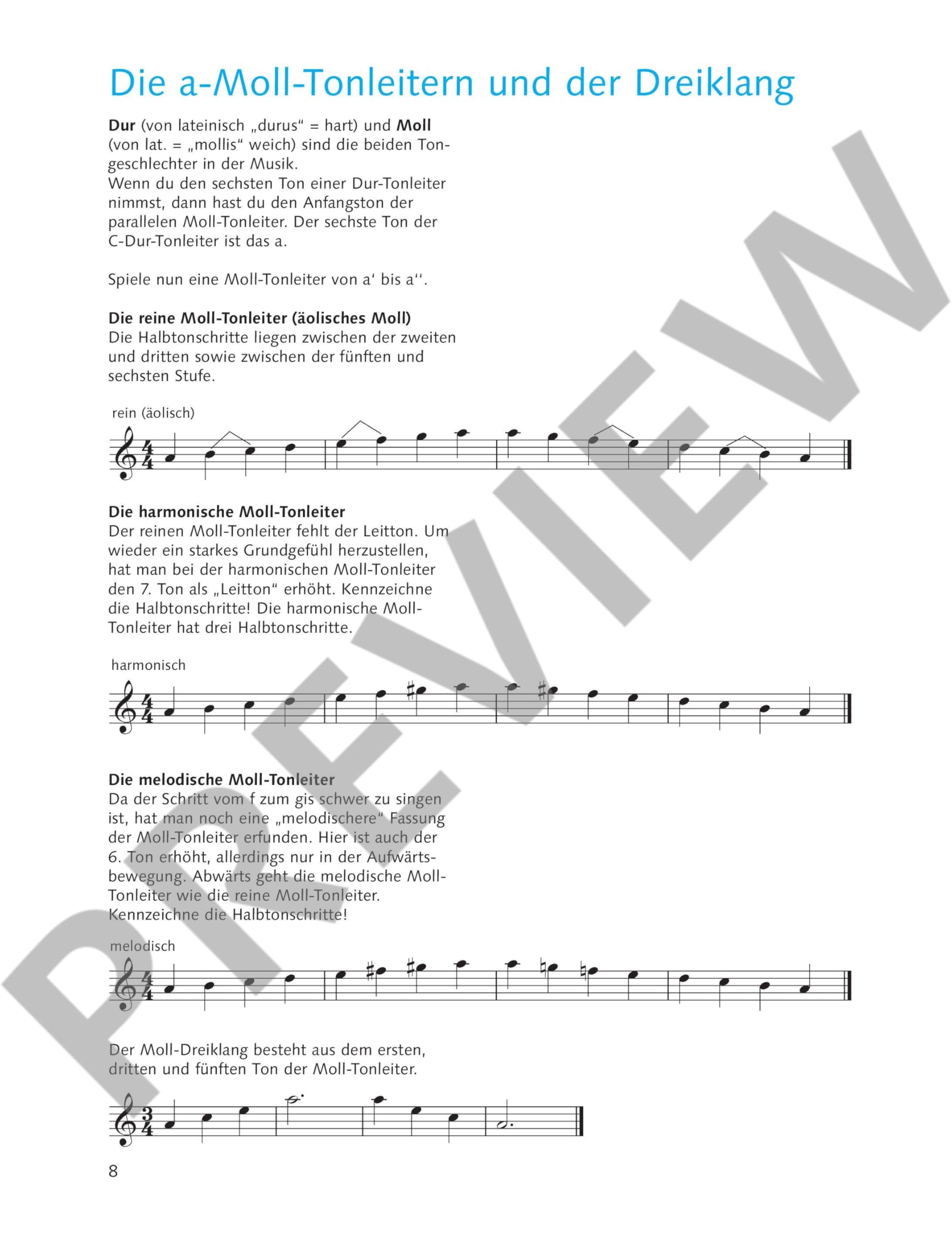 Die fröhliche Querflöte: Querflötenschule für den Einzel- und Gruppenunterricht. Band 2. Flöte.