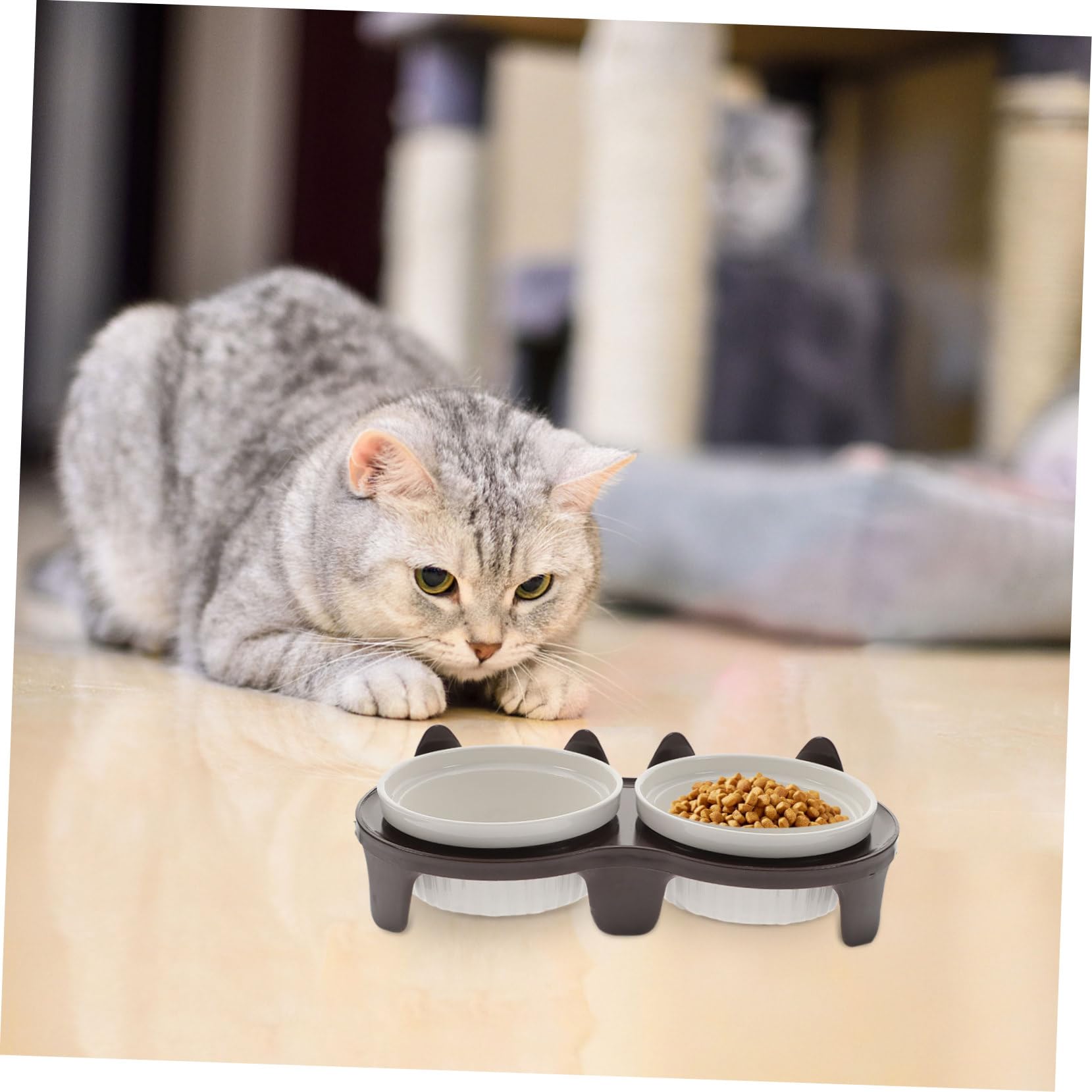 UKCOCO Gamelle pour Chat Céramique Antidérapante Pratique pour Nourrir Chat et Chaton avec Support Solide et Facile à Nettoyer