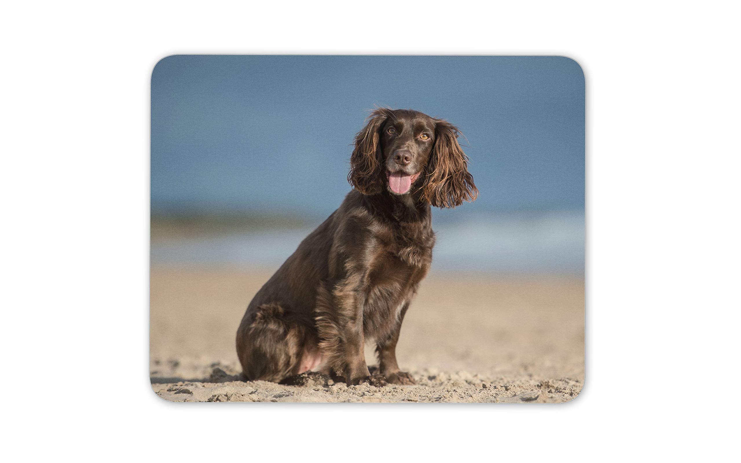 Destination Vinyl Ltd Cocker Spaniel Mouse Mat Pad - Puppy Gun Dog Beach Working Computer #12508