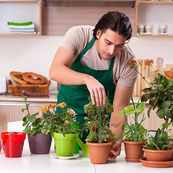 7 Pack Plant Support Stakes for Indoor Plants, Stackable Monstera Plant Support, Climbing Plant Support Plant Stakes with Twist Ties for Climbing Potted Plants Indoor Outdoor