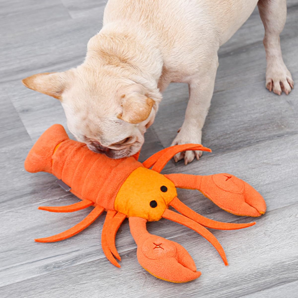 Kisangel 2stücke Pet Dog Molar Toy Cartoon Lobster Kauspielzeug Für Hunde Multifunktionales Futter Und Trainingsspielzeug Zur Langsamen Fütterung Und Stimulation Der Sinne