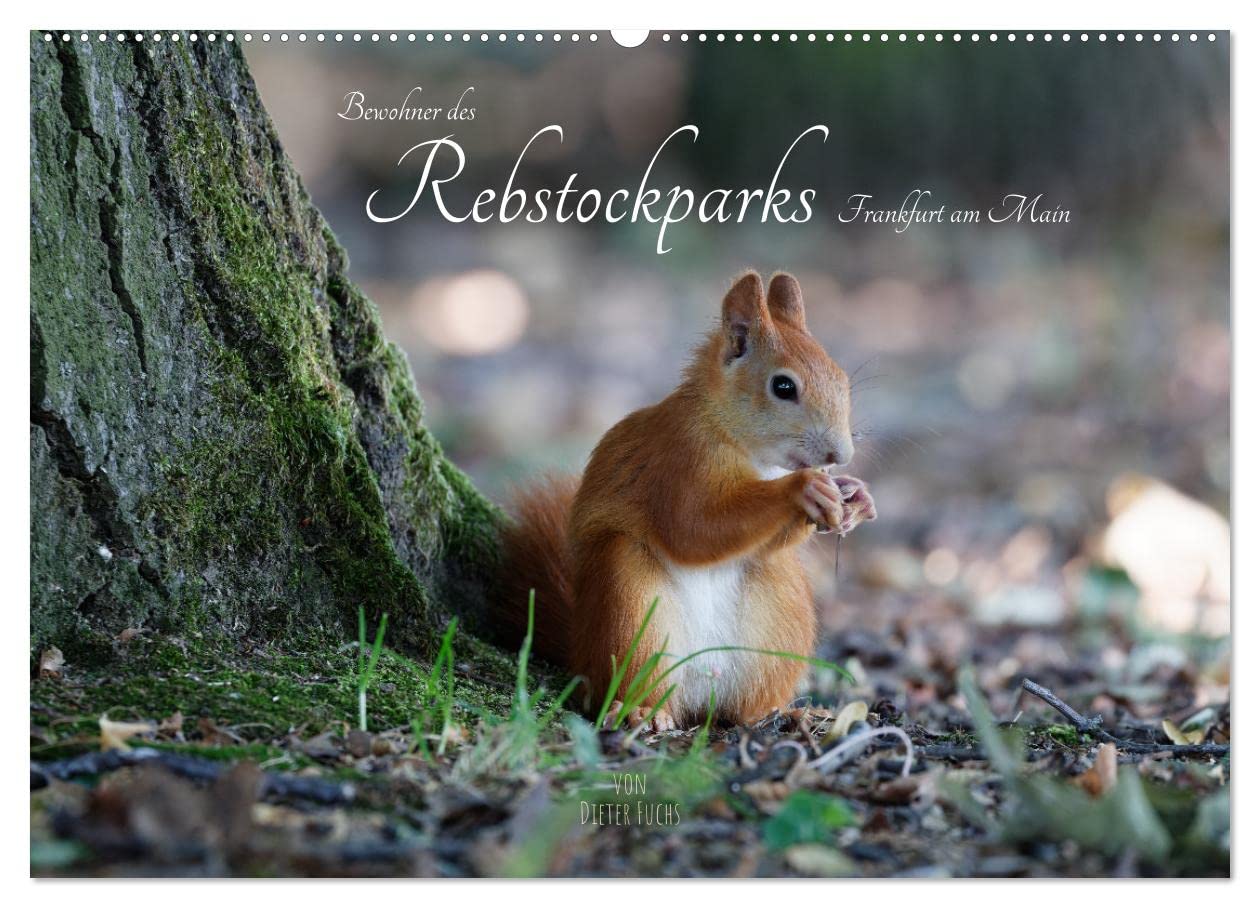 Bewohner des Rebstockparks Frankfurt am Main (Wandkalender 2026 DIN A2 quer), CALVENDO Monatskalender: Große und kleine Tiere im Rebstockpark in Frankfurt am Main (CALVENDO Tiere)
