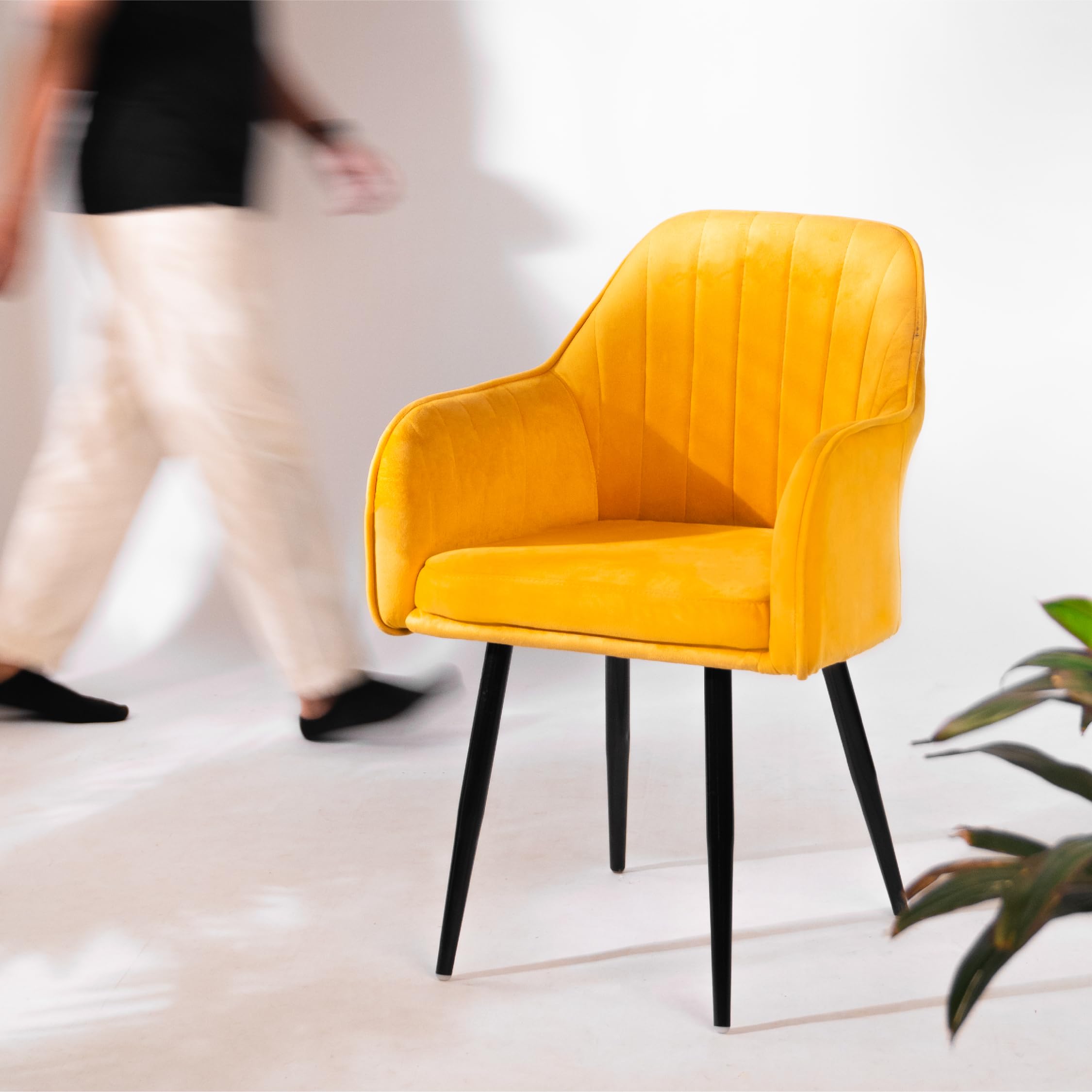 Accent Chair Mustard Velvet Dining Chair KOORSI Maharaja Velvet