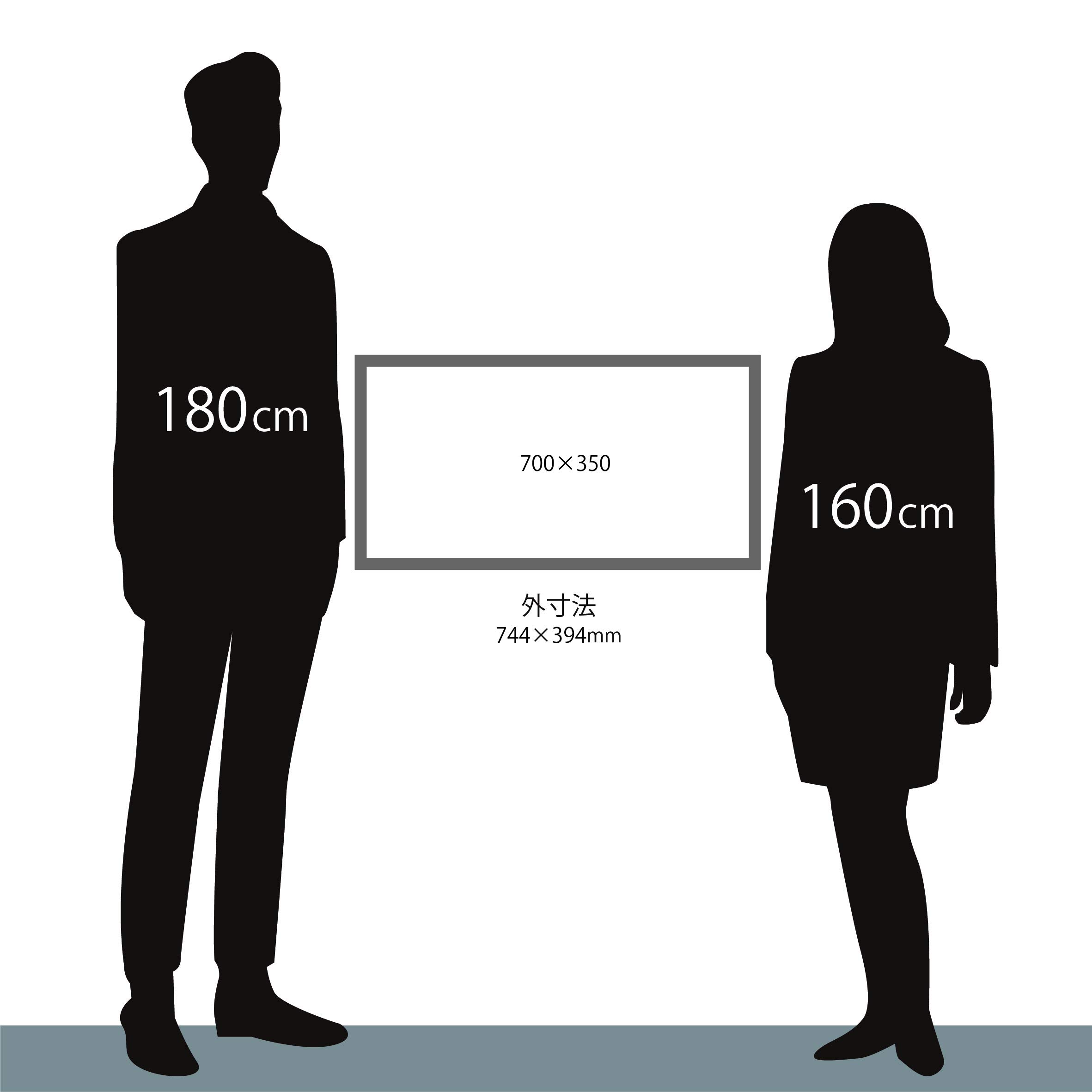 Amazon.co.jp: 大額 横長額 350x700 金柄紋 5698 本体サイズ:744×394