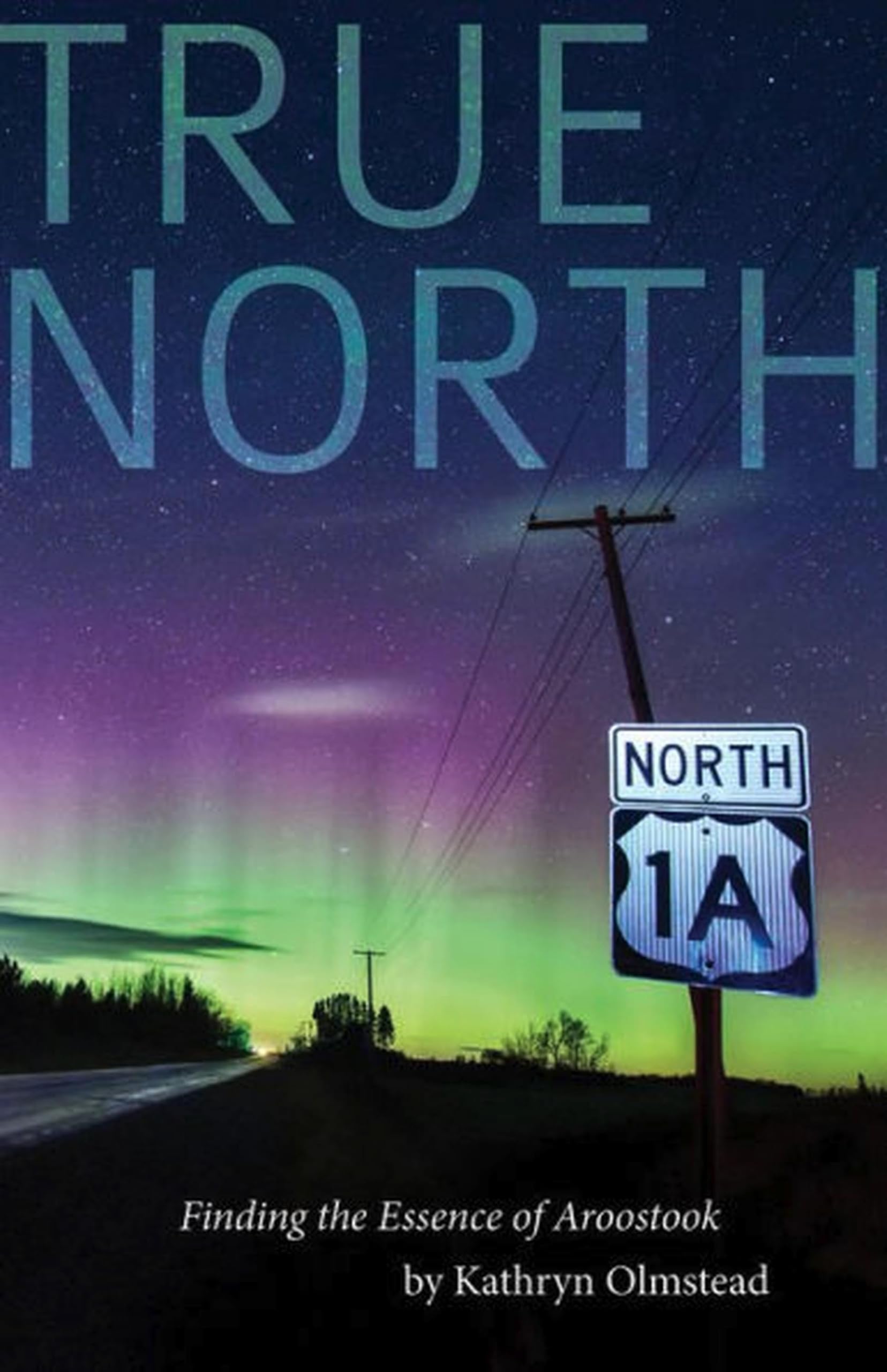 Buy True North: Finding the Essence of Aroostook — BookShops.in