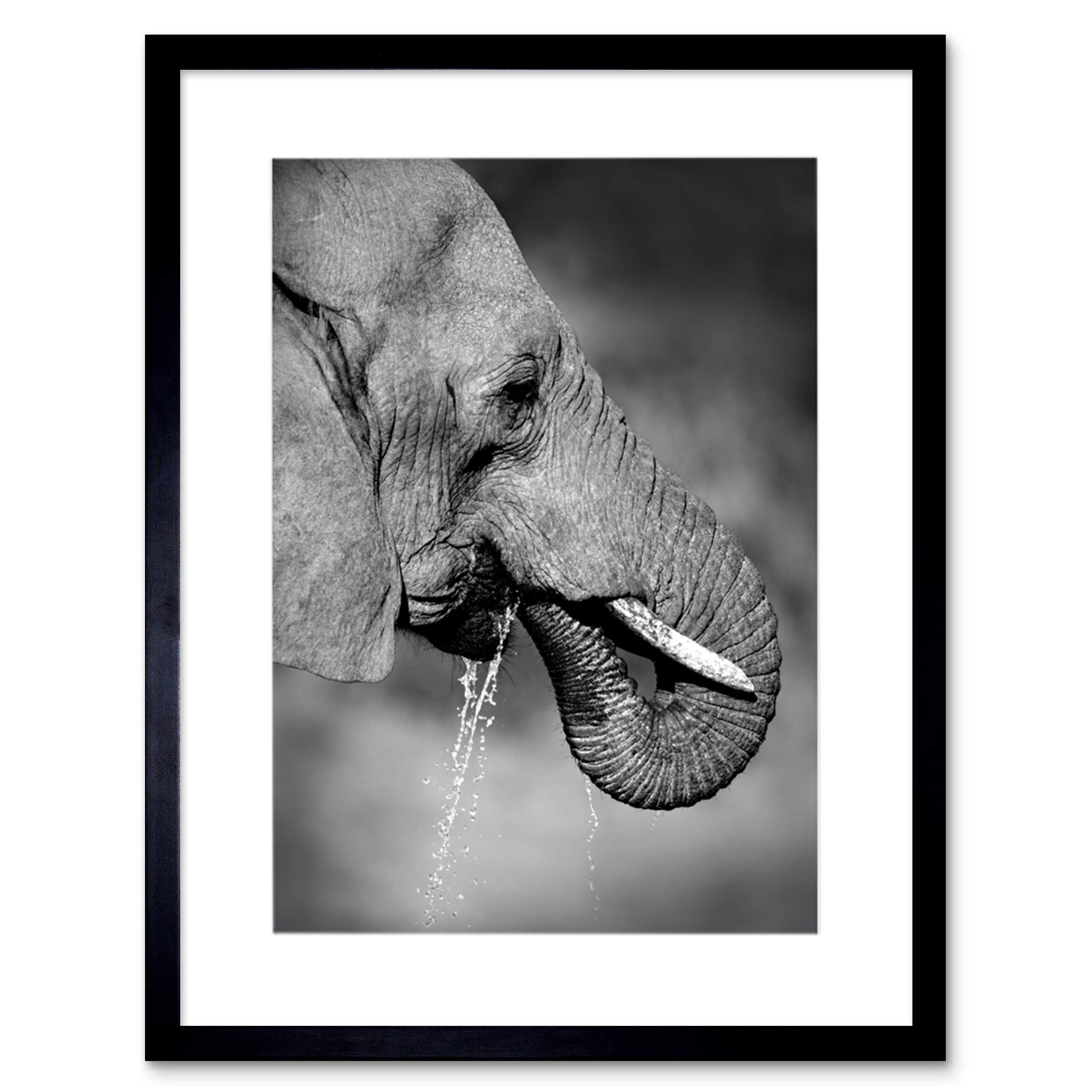 Wee Blue Coo AFRICAN ELEPHANT DRINKING BLACK WHITE BLACK FRAMED ART PRINT PICTURE B12X8677