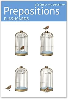 Picture My Picture Prepositions Flash Cards | 40 Positional Language Development Educational Photo Cards | Speech Therapy Materials, ESL Materials