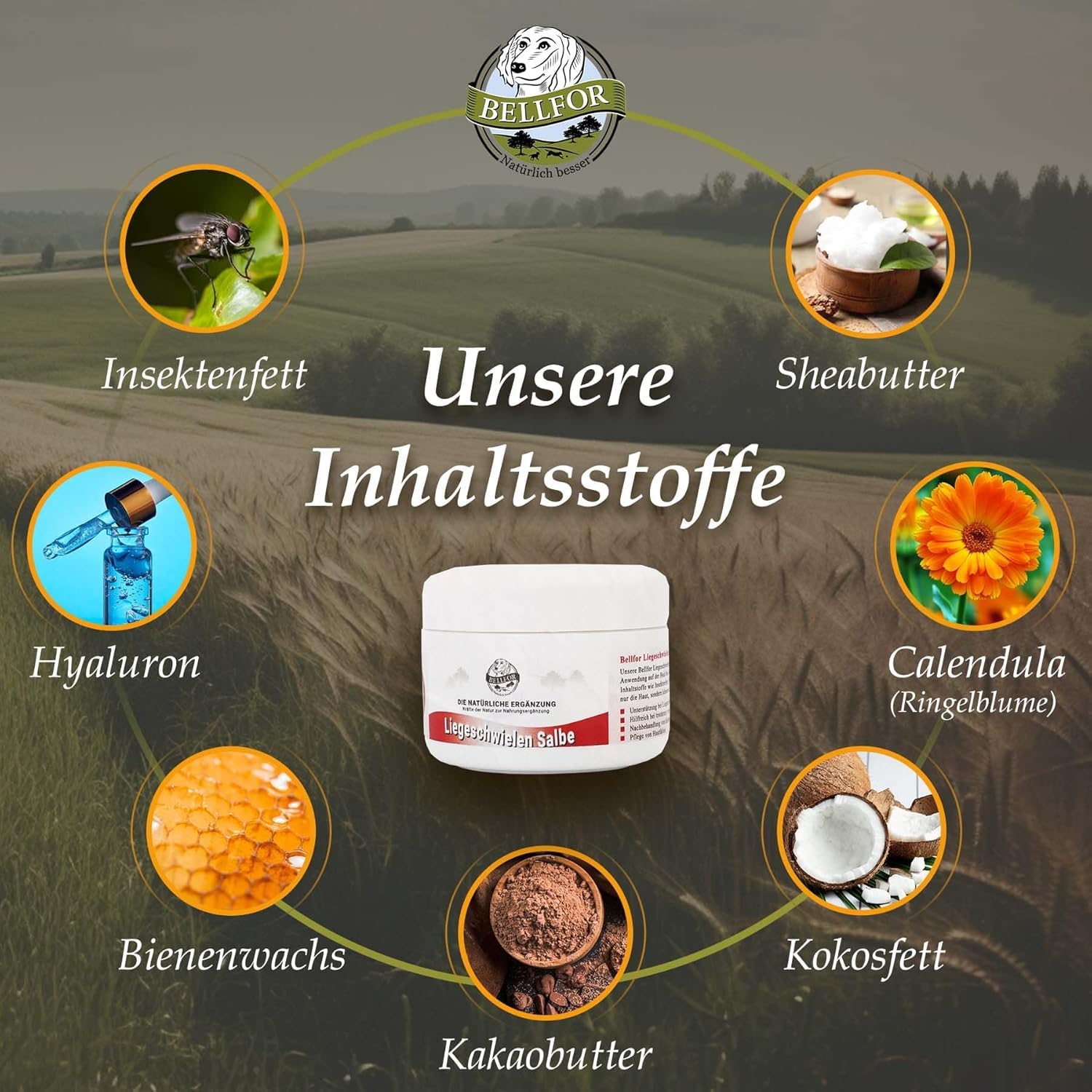 Bellfor Crema para Callos en Perros de Insectos y caléndula - 30 ml. Pomada Natural para Callos en Perros, antibacteriana y antiinflamatoria. La pomada hidrata la Piel Agrietada y Seca de los Callos