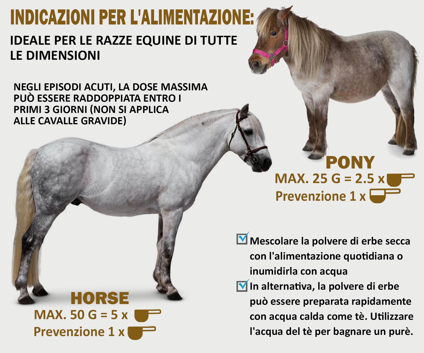 V-POINT REHE Plus per la prevenzione degli attacchi di laminite acuta favorisce la circolazione sanguigna nel corium dello zoccolo - con polvere di rosa canina cardo mariano spirulina (450g)