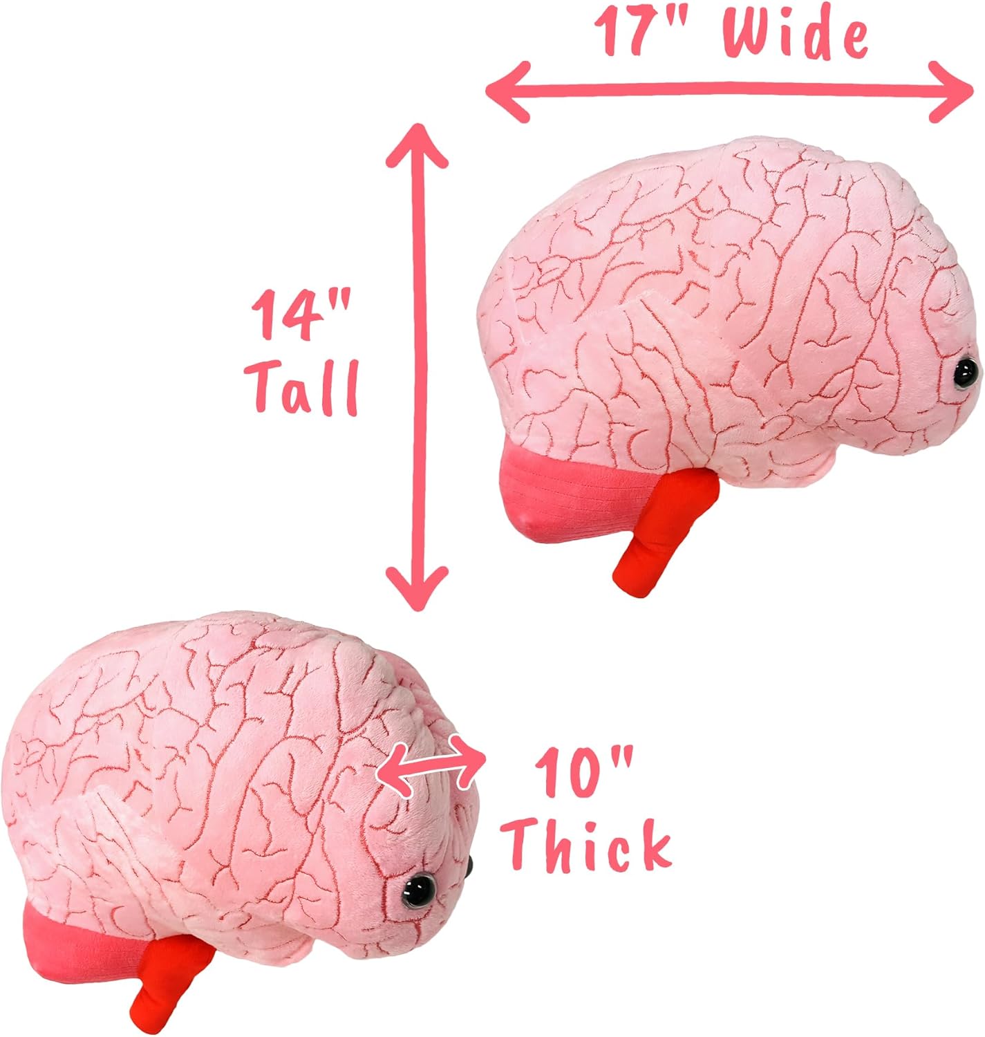 GIANT MICROBES Gigantic 17" Brain Organ Plush, Gift for Med Student, Gifts for Neurologist, Brain Surgery Recovery, TBI Awareness, Neurology Gifts, Neuroscience Gift, Mental Health Awareness - Image 2