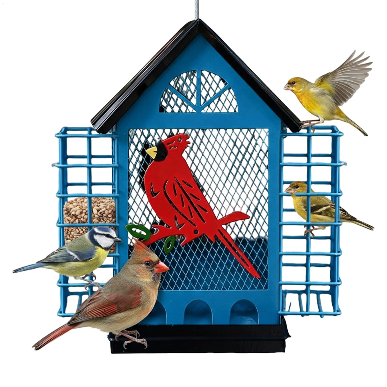 Distributeur de Nourriture pour Oiseaux Avec Double Cages à Station | Distributeur Extérieur Sécurisé Contre les Écureuils