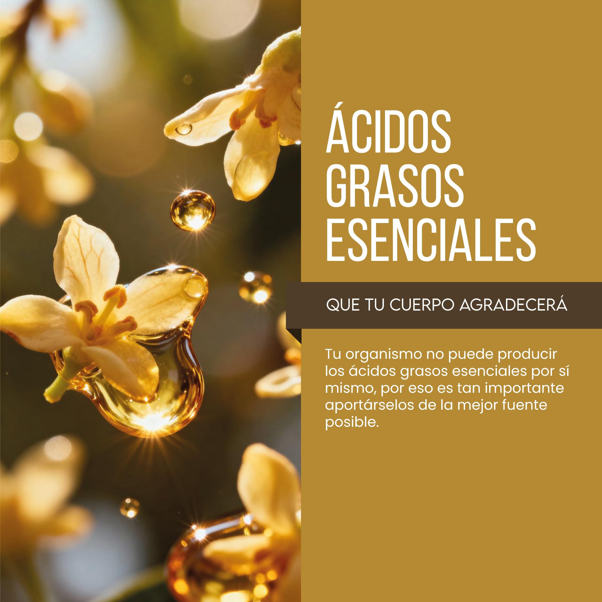 Aceite de Onagra perlas 1000mg con Vitamina E – Prensado en Frío 10% GLA – Complemento Natural de apoyo a la Mujer - Contribuye a proteger las células del estrés oxidativo - 200 perlas