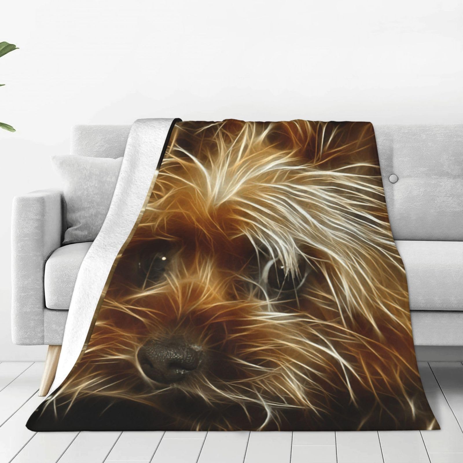 Couverture polaire Yorkshire : plaid chaud pour salon