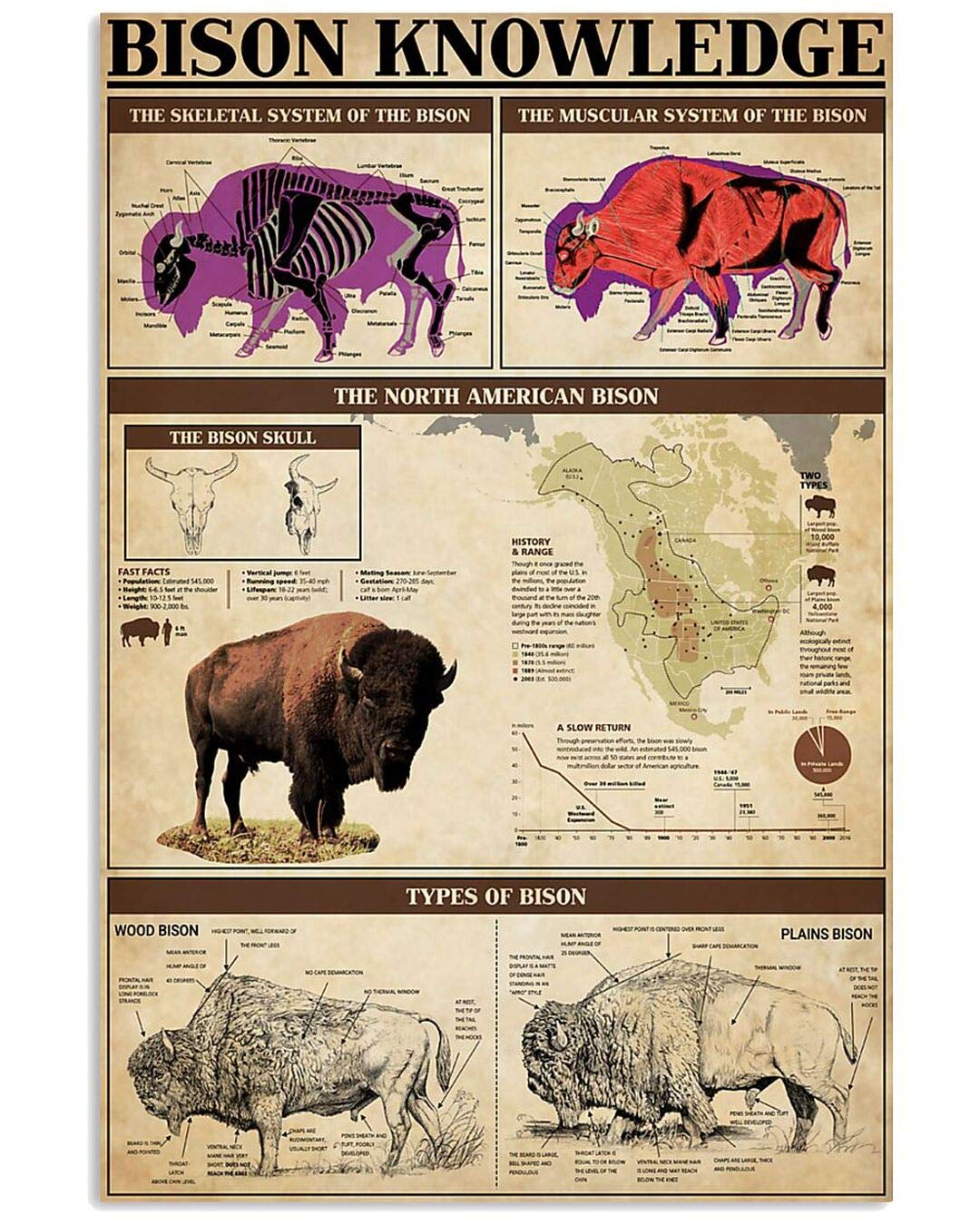 rayprint Bison Knowledge Posters Science Guide Metal Signs Retro Plaque Room Club Farm Decor Wall Decor 12x16 Inches