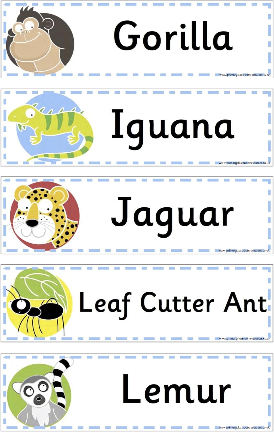 Rainforest Animals Flashcards Printed and Laminated Teaching Resource Display Amazon.co.uk