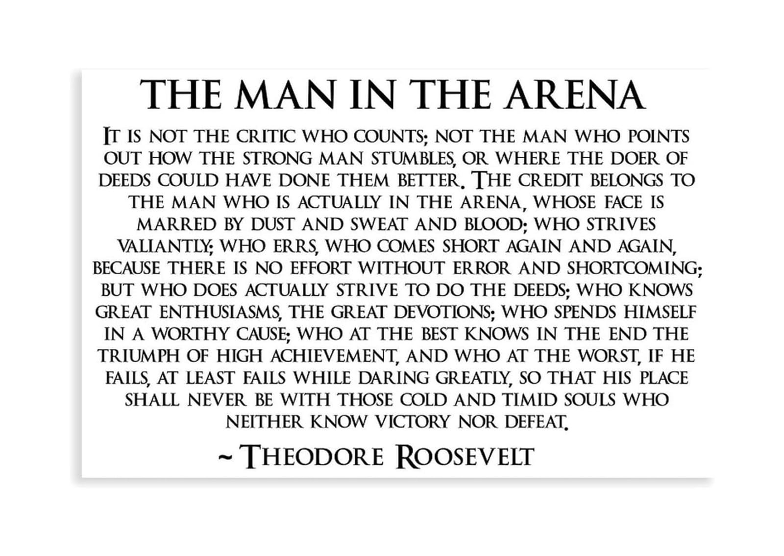 MDBJTCYZN Man in the Arena Theodore Roosevelt Motivational Wall-Art Canvas Print Inspirational Quote for Office Decor(Unframed,08X12inch(20X30cm))
