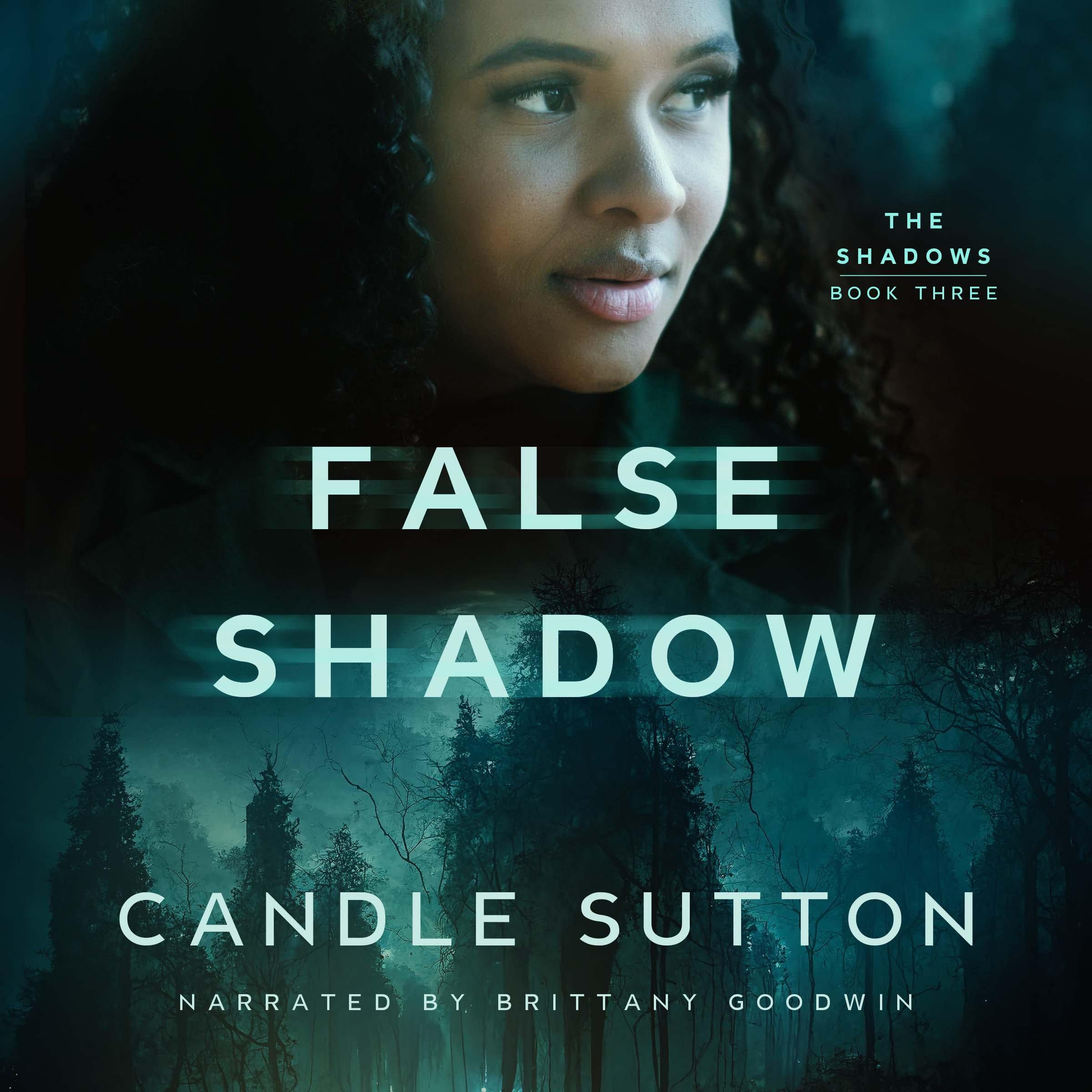 Cover art for False Shadow