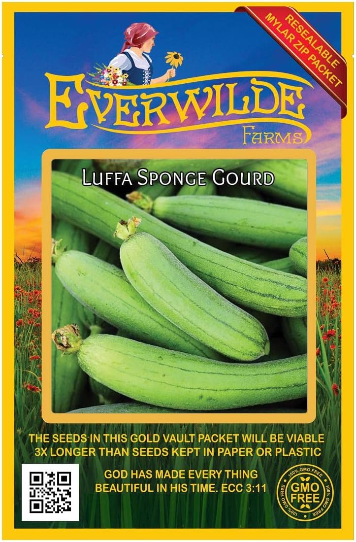 Everwilde Farms - 1/4 Lb Luffa Sponge Gourd Seeds - Gold Vault