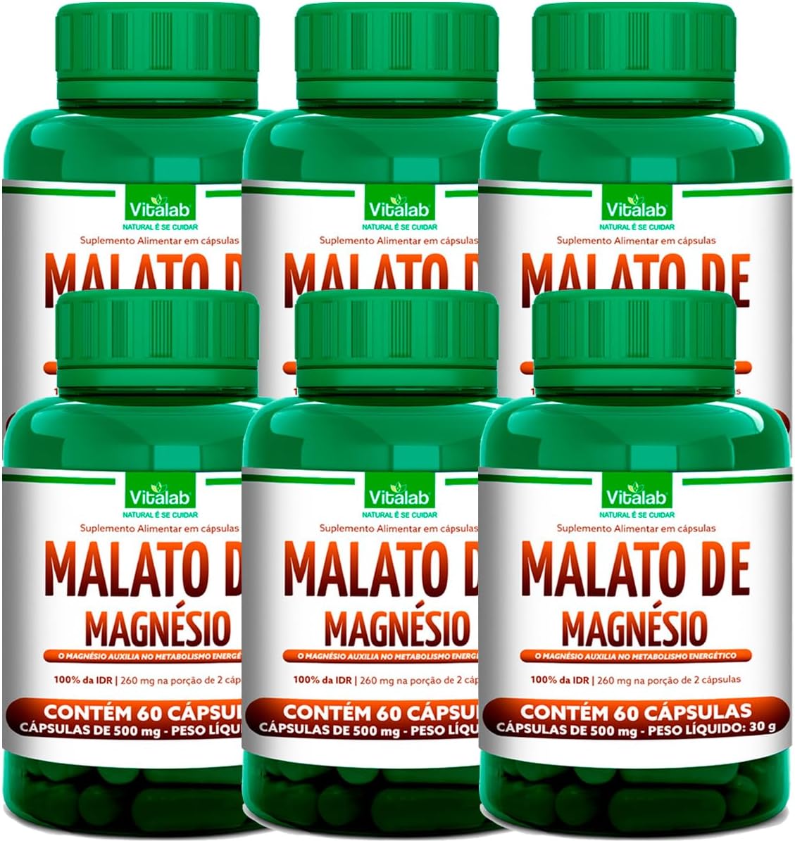 Kit 6 Malato de Magnésio Vitalab 500Mg 60 Cápsulas