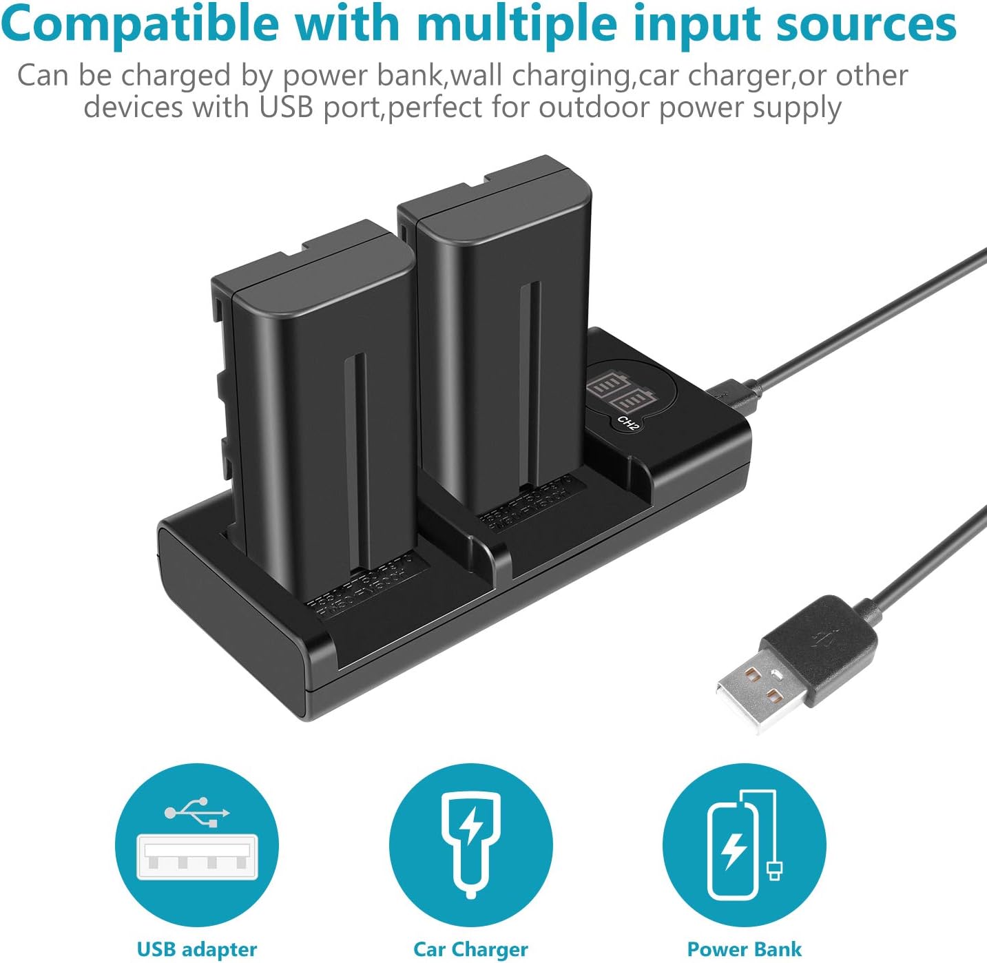 Neewer NP-F550 Battery Charger Set for Sony NP-F970 F750 F960 F530 F570 CCD-SC55 TR516 TR716 and More (2-Pack 2600 mAh Replacement Camera Batteries, Micro USB and Type-C Input Dual Charger)