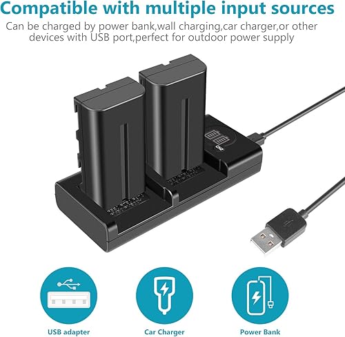 Miniatura 4 de Neewer Juego de cargador de batería NP-F550 para Sony NP-F970 F750 F960 F530 F570 CCD-SC55 TR516 TR716 y más (paquete de 2 baterías de repuesto para