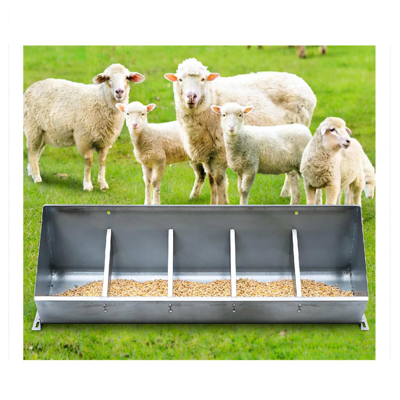 Comedero para Cerdos Y Ovejas, Abrevadero Grande Acero Inoxidable para Caballos Otros Animales Granja Abrevadero Compartimentos Separados para Ganado,(100X19X26CM)