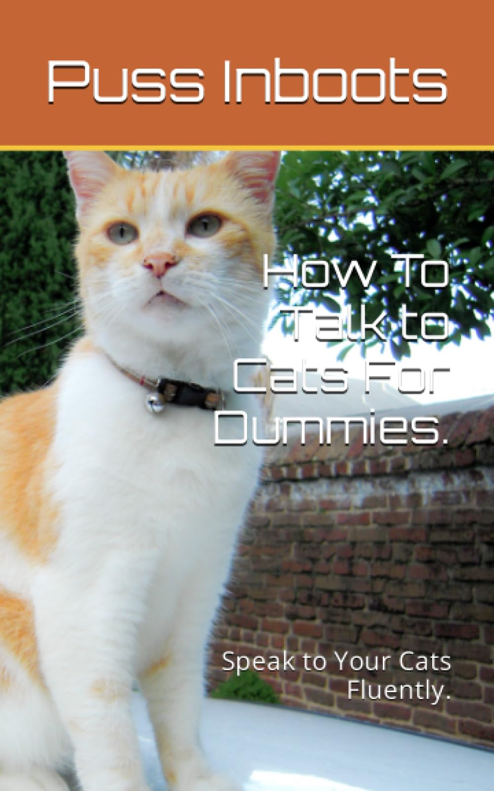 How To Talk to Cats For Dummies.: Speak to Your Cats Fluently.