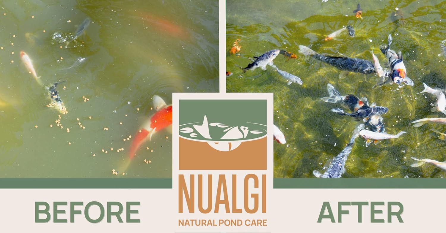 Nualgi Pond care 60ml + Beneficial Bacteria 16oz Bundle : Patio, Lawn & Garden