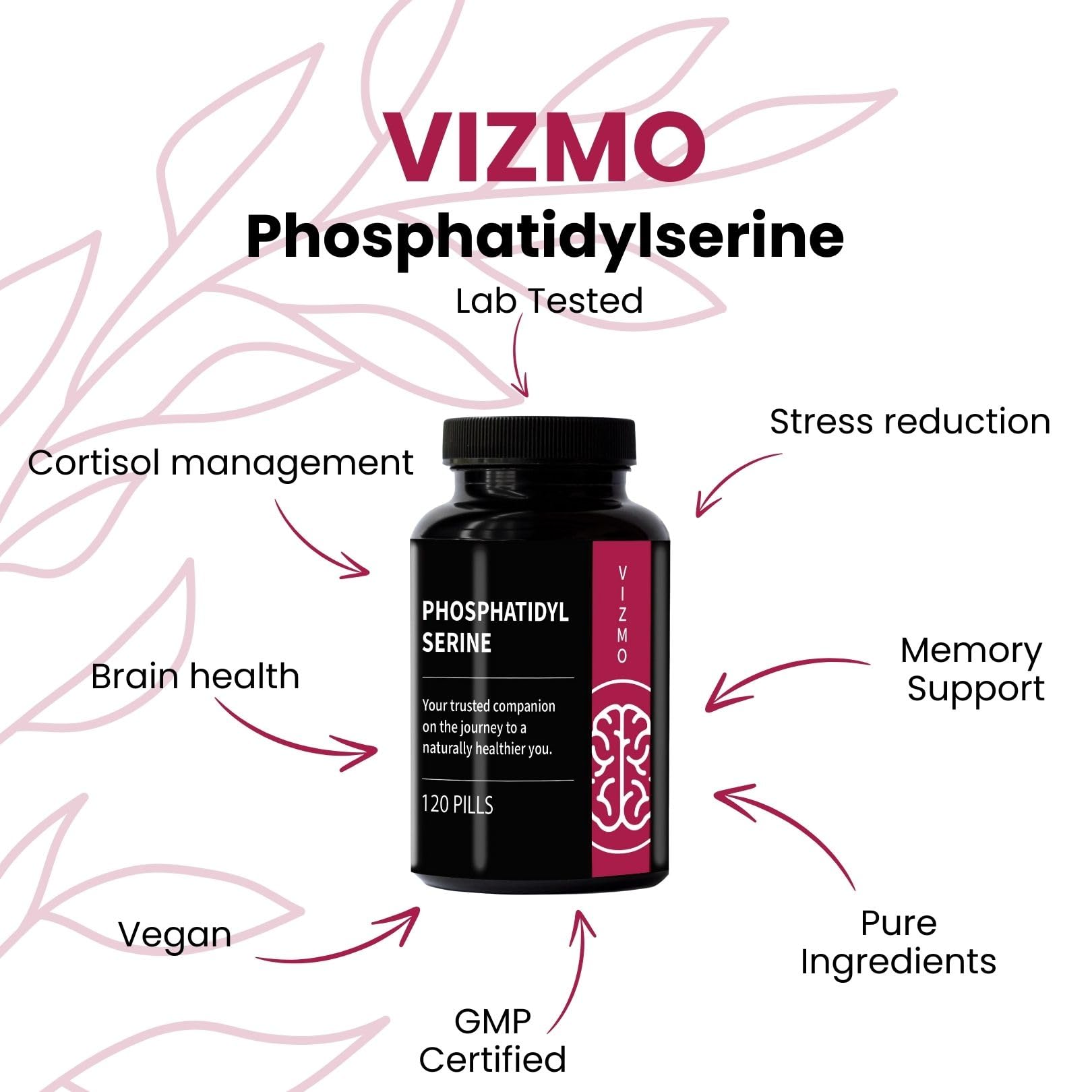Phosphatidylsérine 100mg – 120 gélules végétaliennes à haute dose pour la mémoire, la concentration, la réduction du stress, la diminution du niveau de cortisol, l’équilibre du cortisol, la concentrat
