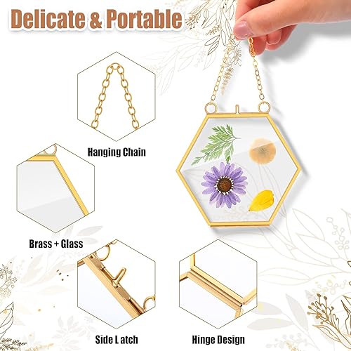 Miniatura 3 de Marsui 8 Piezas Marcos de Flores Prensadas 4 x 3 Pulgadas Marcos de Fotos Flotantes de Vidrio Colgantes para Flores Prensadas Doble Imagen para