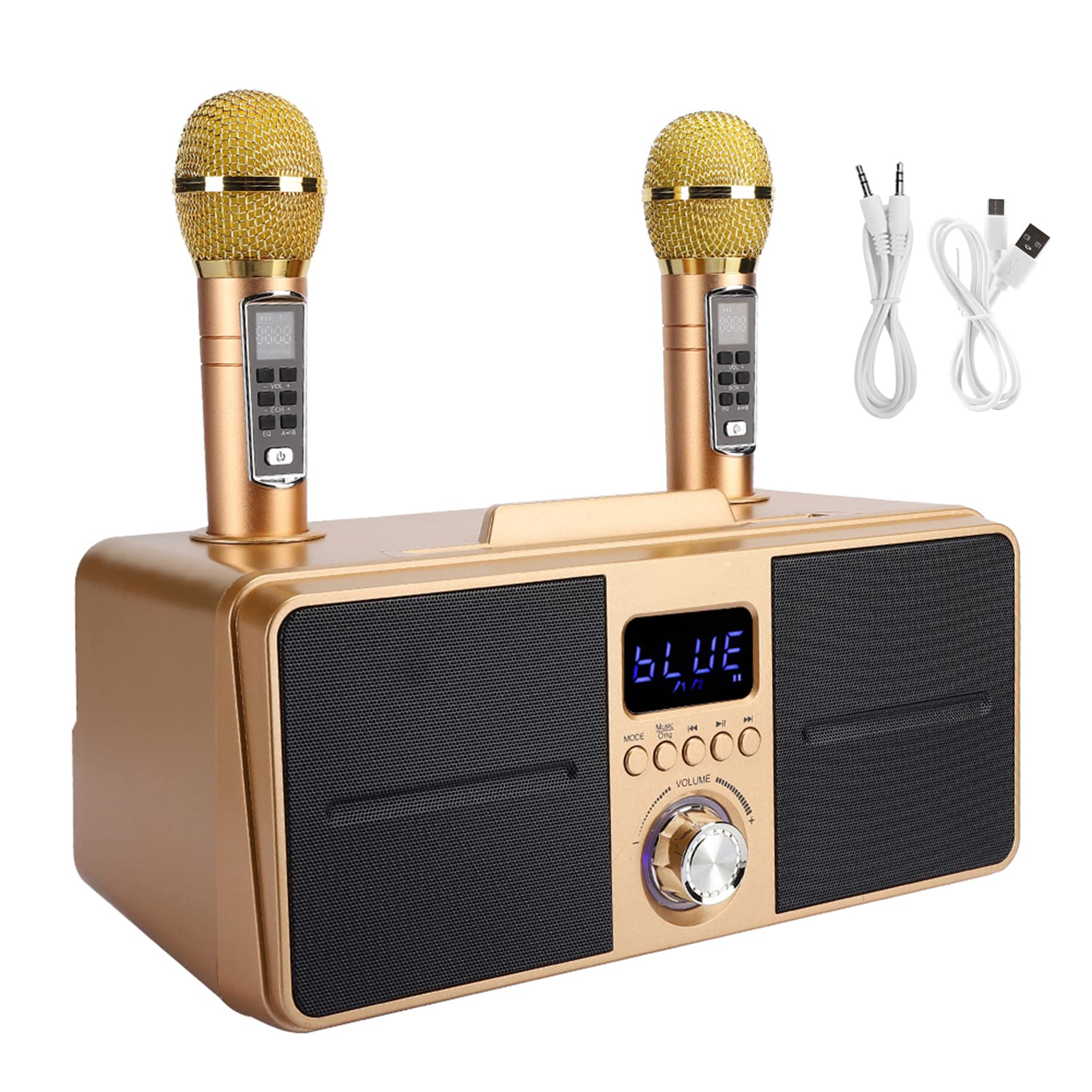 SUNGOOYUE Altoparlante Karaoke Altoparlante Portatile Bluetooth 4.2 Integrato con Microfono Lettore in Metallo ABS 2x15 W Batteria da 3 Ore per Esercitazioni di Canto in Famiglia per Feste in Casa